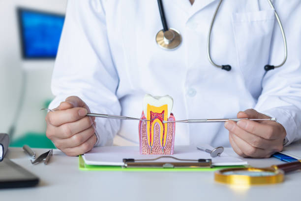 Best Dentist for Tooth Abscess  in Nokomis, IL